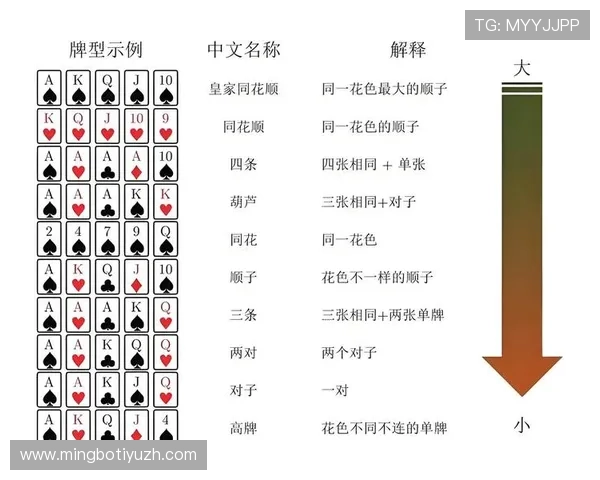 大发扑克娱乐场常见问题解答为新手玩家提供全面帮助与支持